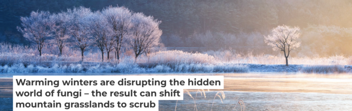 Warmer winters in normally snowy places can interfere with the important activities of microbes in the soil. Seogi/500px via Getty Images